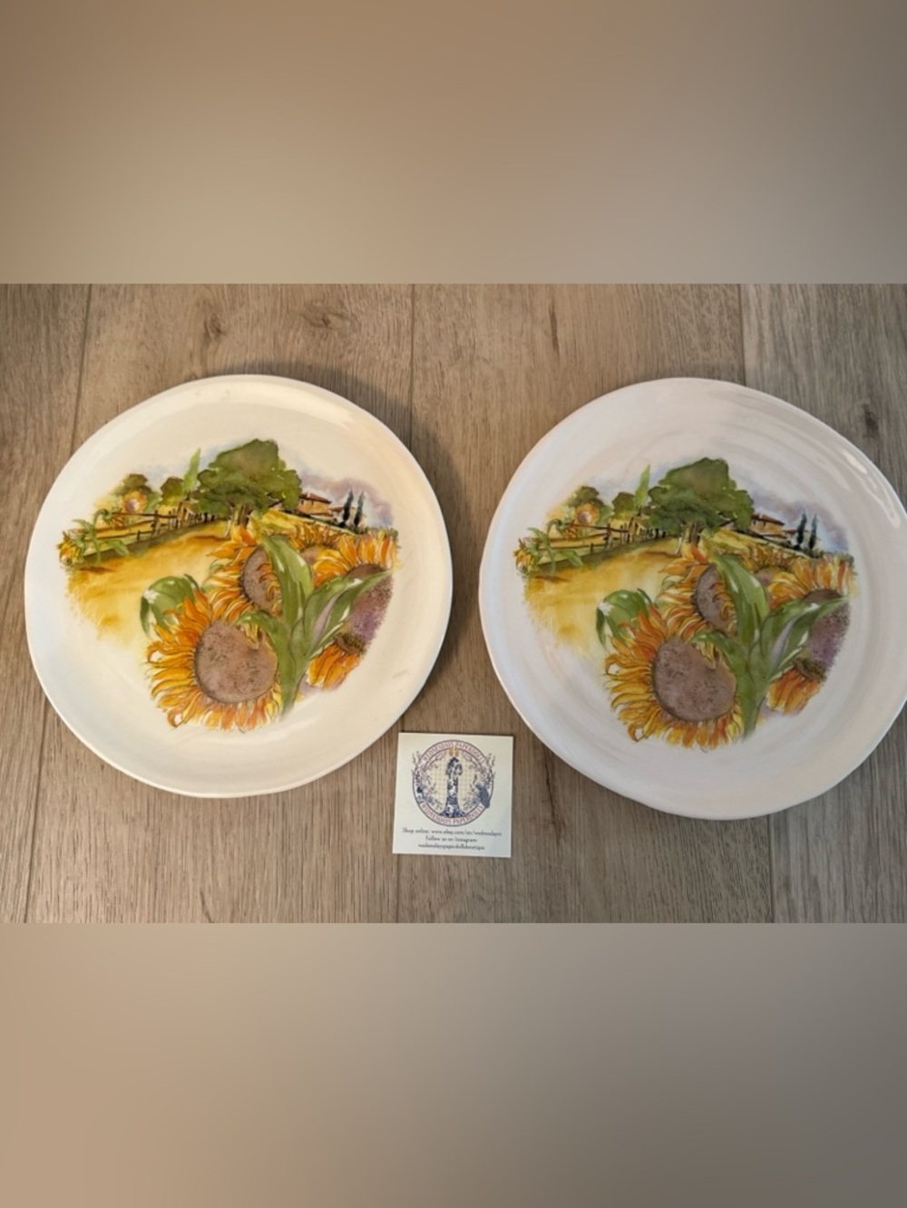 Set of 2 Ceramica Cuore Sunflower Scenes Luncheon Plates 9-5/8” Italy